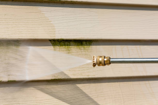 Best Affordable Pressure Washing  in Dunlap, IN